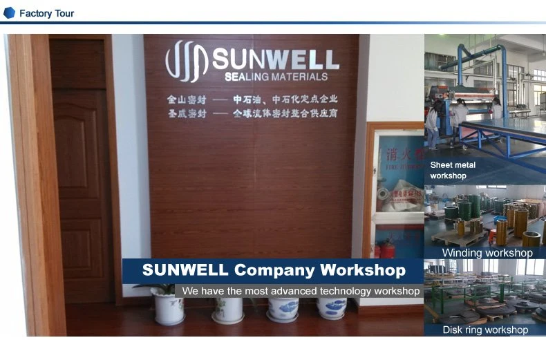 Nuclear Graphite Spiral Wound Gasket Sunwell