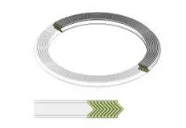 PTFE and Graphite Spiral Wound Gasket