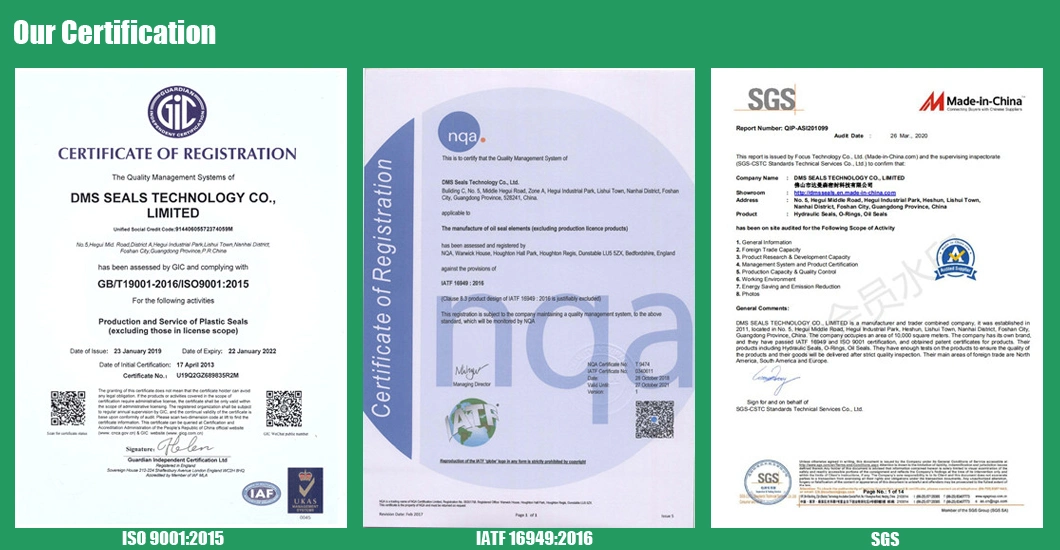 Pharmaceutical Use Modified PTFE Gasket Graphite Filled PTFE Gasket